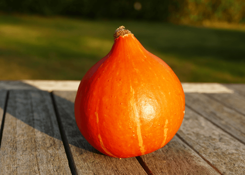 Knusprige Kürbispuffer